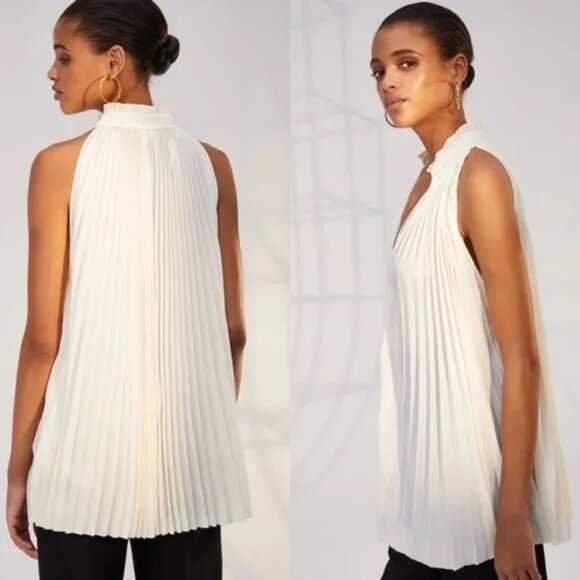 Aritzia Babaton 1-01 Guell High Neck Pleated Sleeveless Blouse Tunic Size Small - Picture 3 of 9